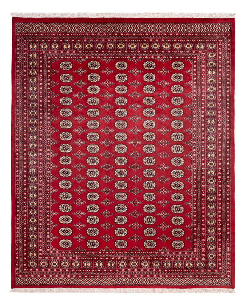 Afghansk tæppe - Bukhara - 305 x 244 cm - rød