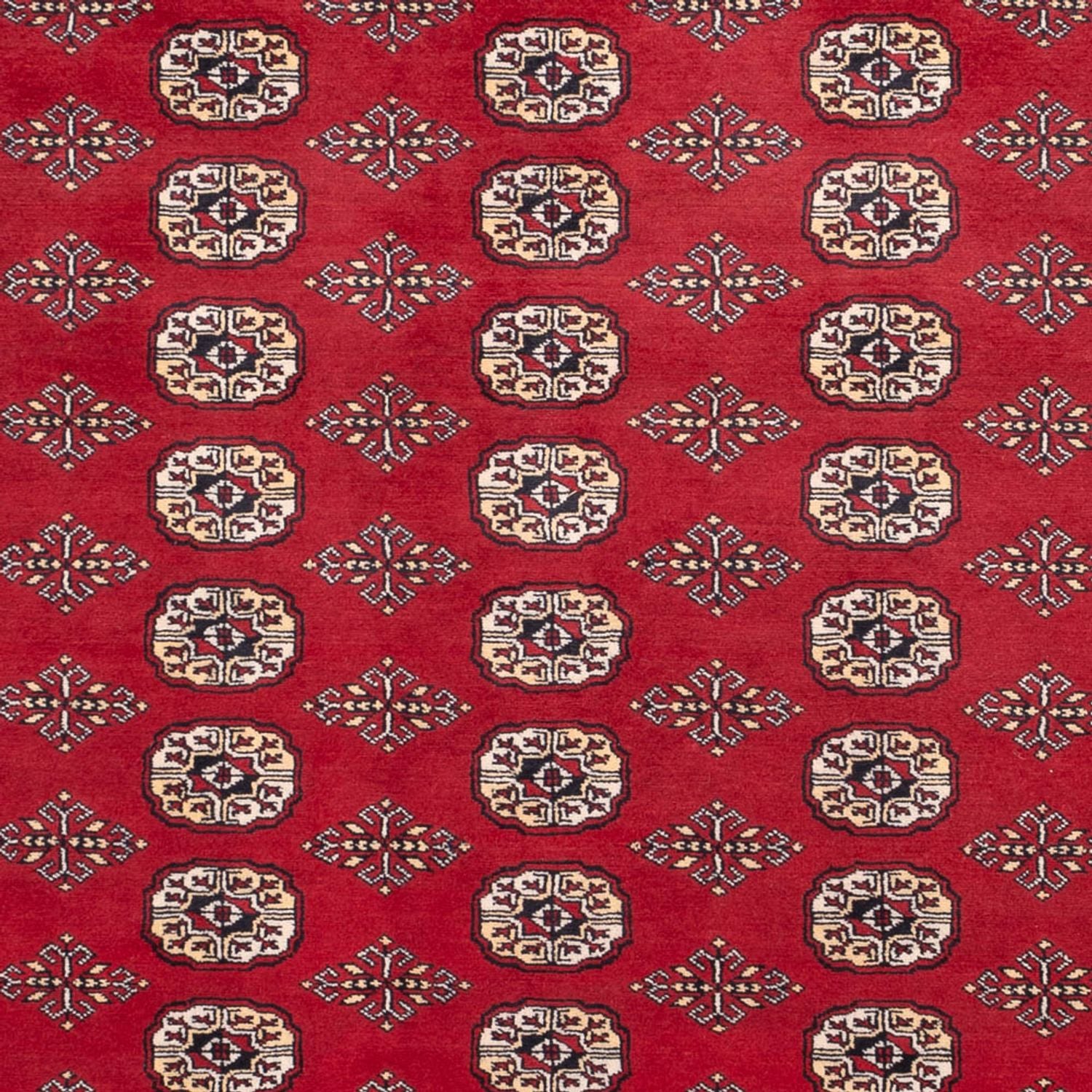 Afghansk tæppe - Bukhara - 305 x 244 cm - rød