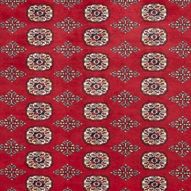 Afghansk tæppe - Bukhara - 305 x 244 cm - rød