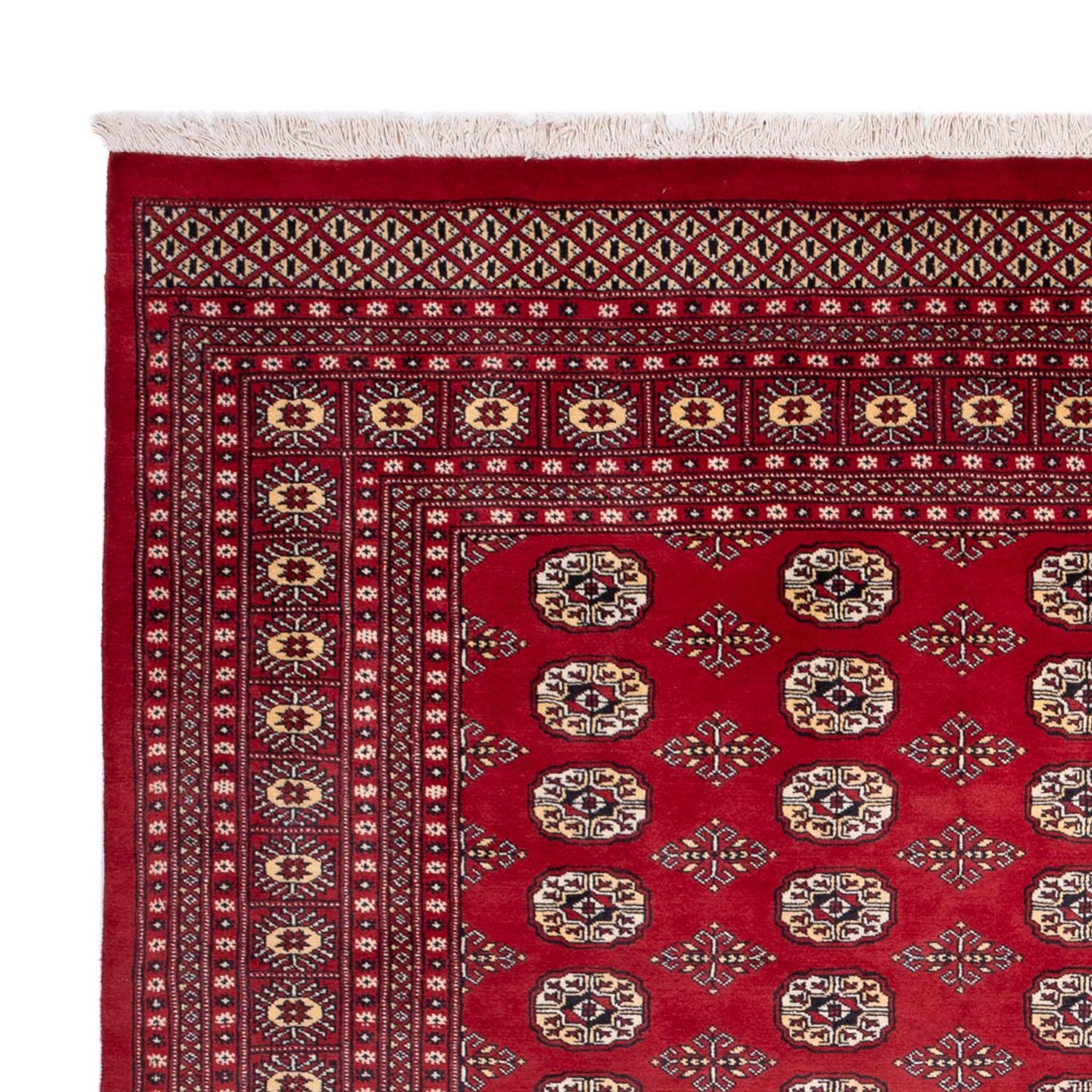 Afghansk tæppe - Bukhara - 305 x 244 cm - rød