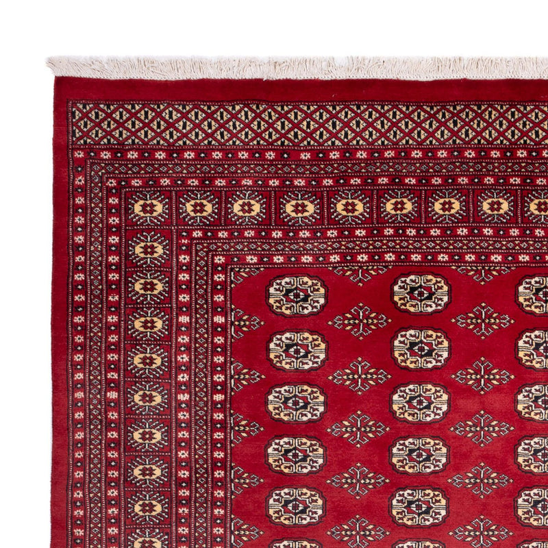 Afghansk tæppe - Bukhara - 305 x 244 cm - rød