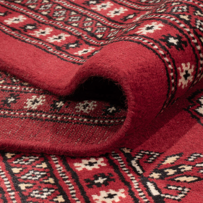 Afghansk tæppe - Bukhara - 305 x 244 cm - rød