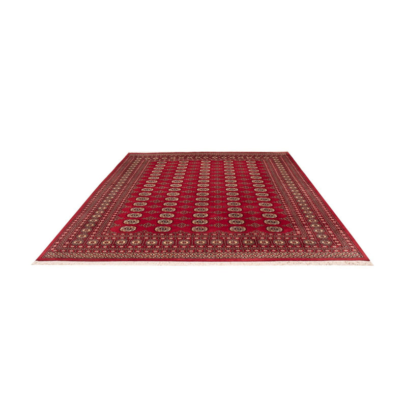 Afghansk tæppe - Bukhara - 305 x 244 cm - rød