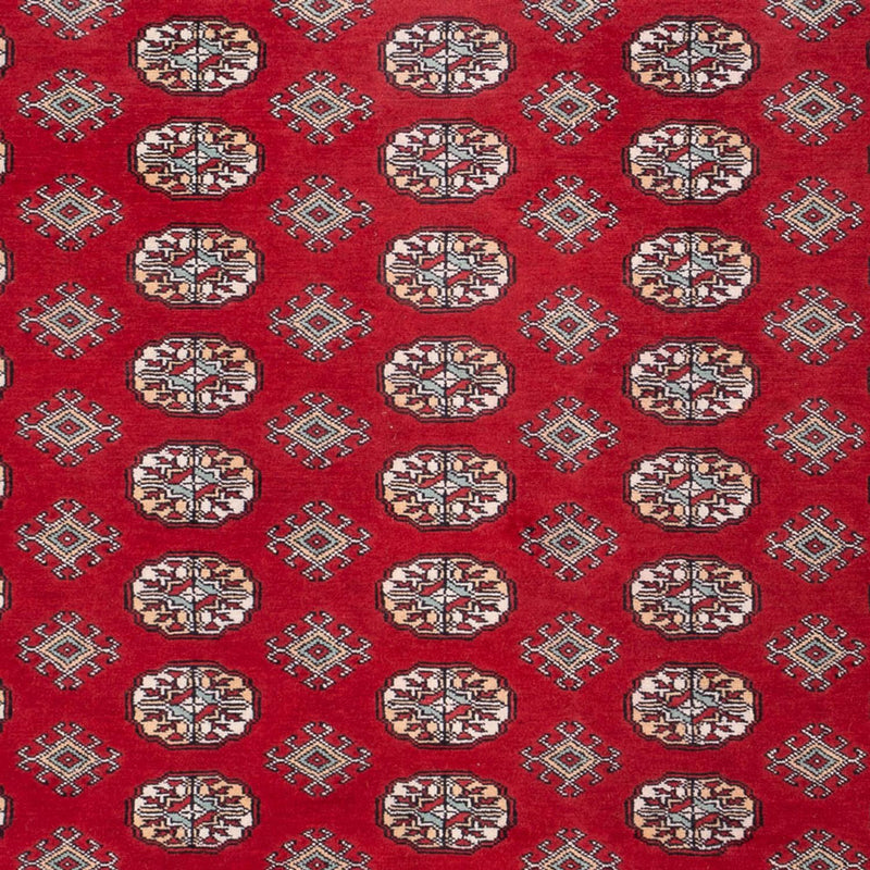 Afghansk tæppe - Bukhara - 296 x 250 cm - rød