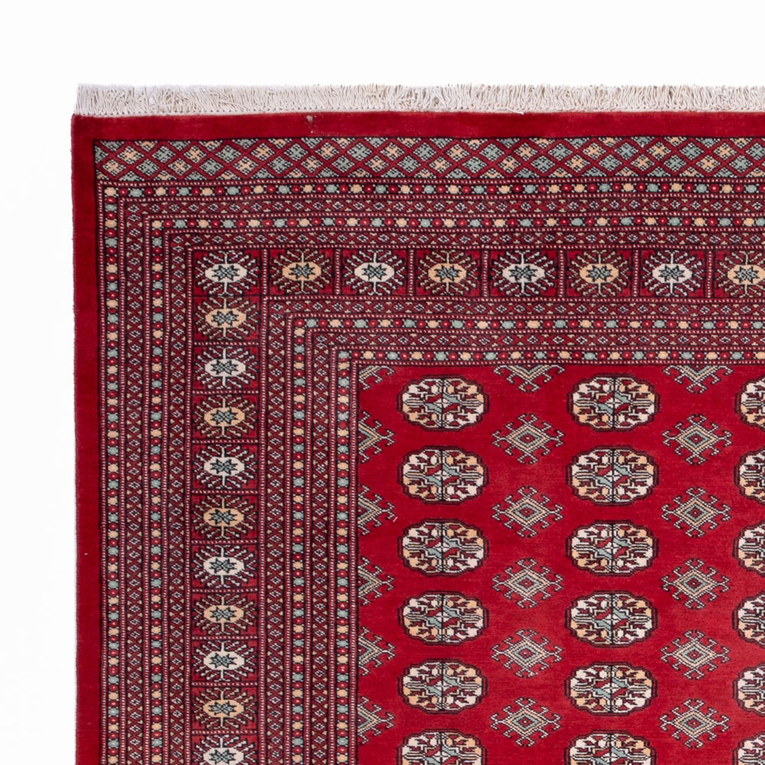 Afghansk tæppe - Bukhara - 296 x 250 cm - rød