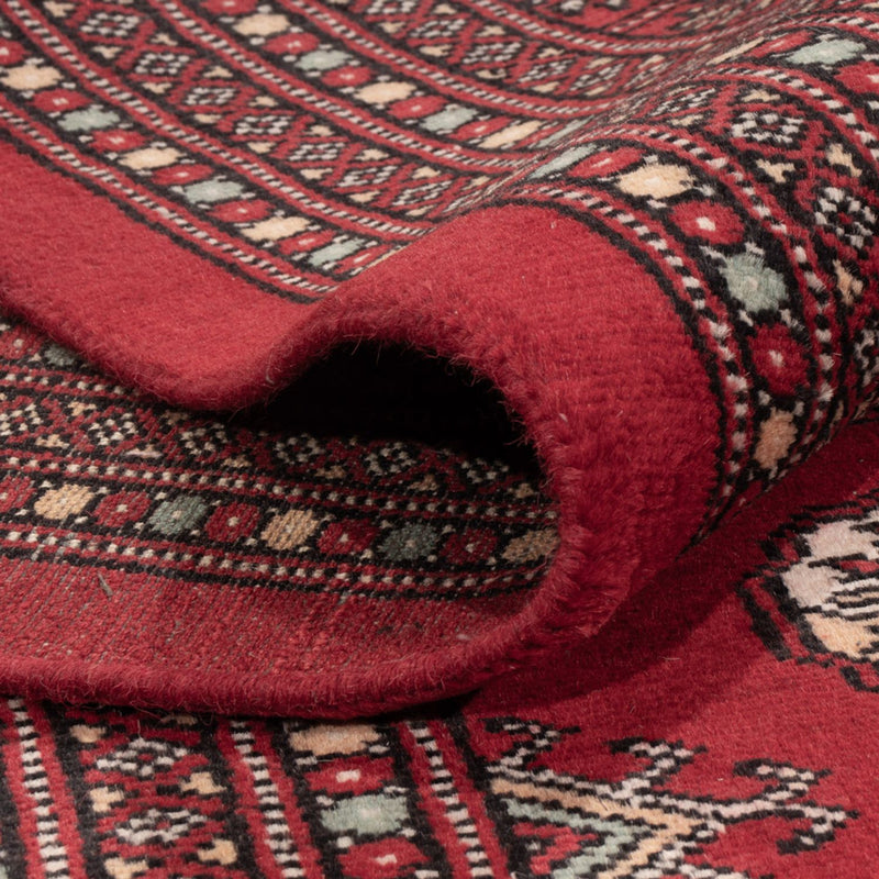 Afghansk tæppe - Bukhara - 296 x 250 cm - rød