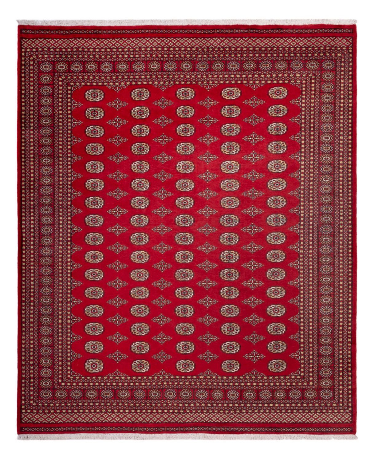 Afghansk tæppe - Bukhara - 305 x 252 cm - rød