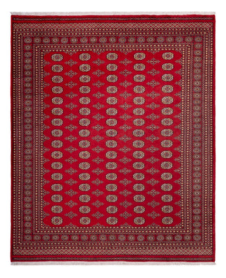 Afghansk tæppe - Bukhara - 305 x 252 cm - rød