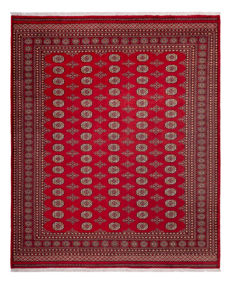 Afghansk tæppe - Bukhara - 305 x 252 cm - rød