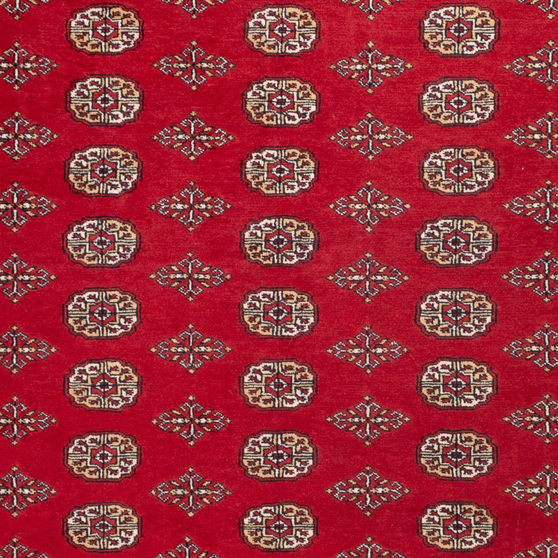 Afghansk tæppe - Bukhara - 305 x 252 cm - rød