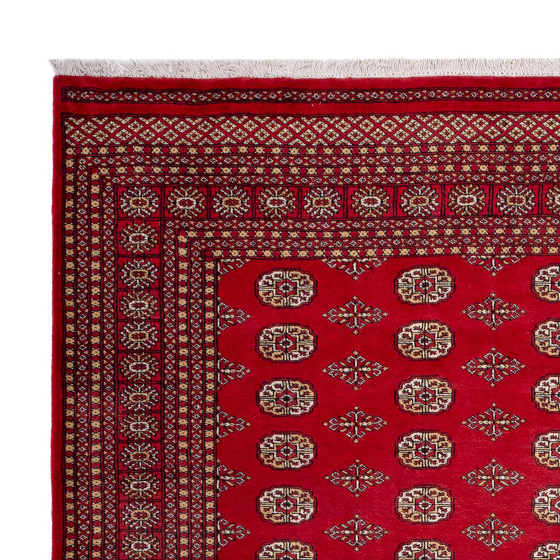 Afghansk tæppe - Bukhara - 305 x 252 cm - rød