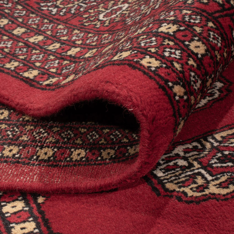 Afghansk tæppe - Bukhara - 305 x 252 cm - rød