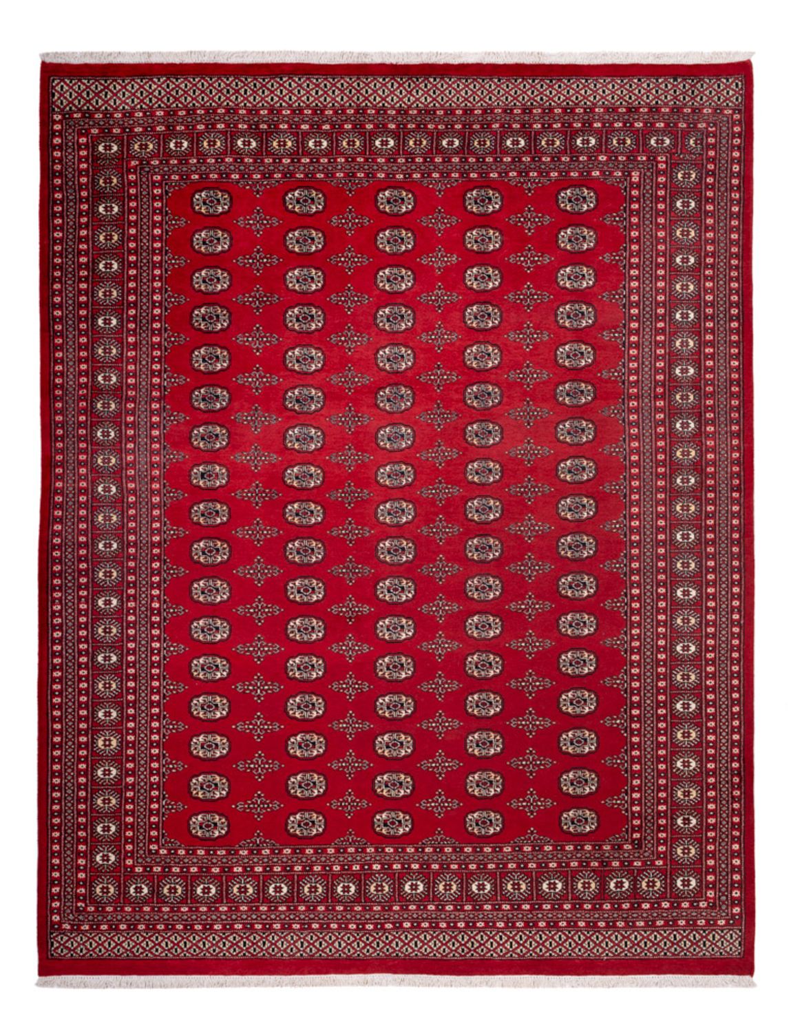 Afghansk tæppe - Bukhara - 319 x 250 cm - rød