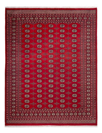 Afghansk tæppe - Bukhara - 319 x 250 cm - rød
