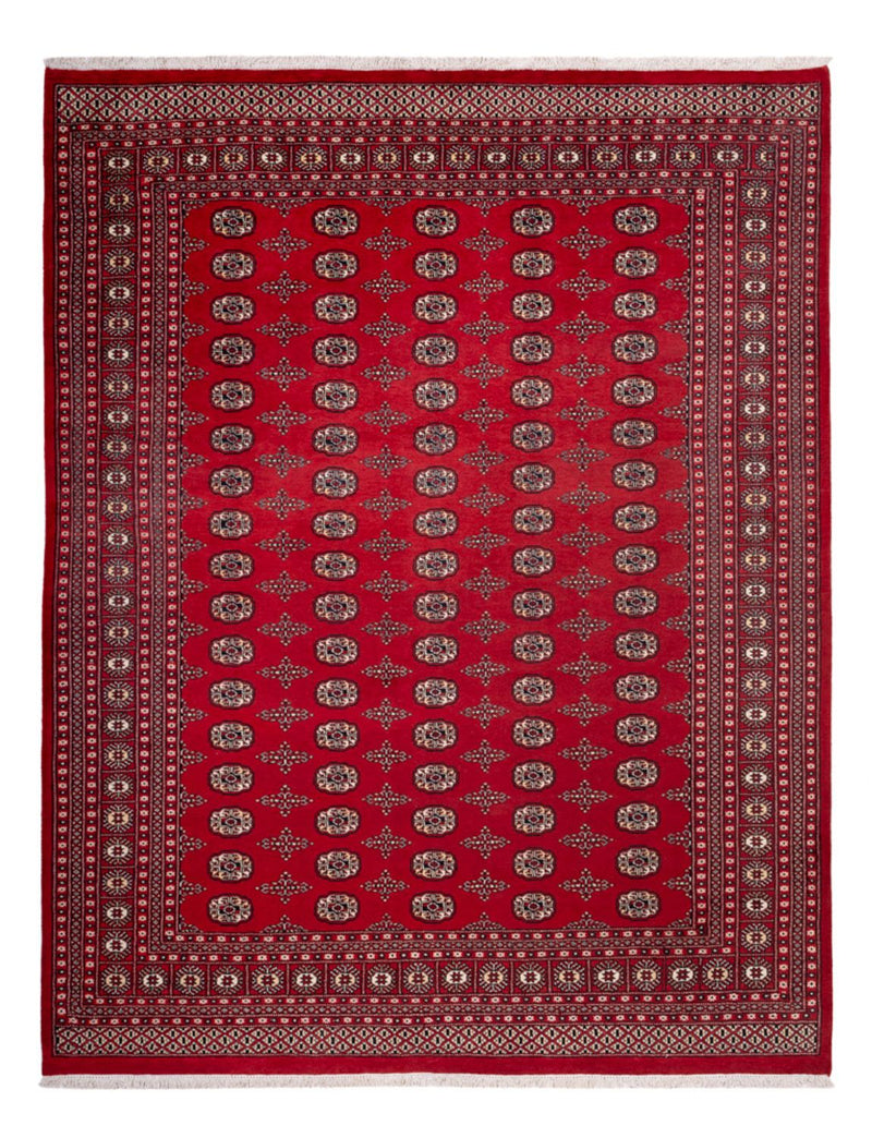 Afghansk tæppe - Bukhara - 319 x 250 cm - rød
