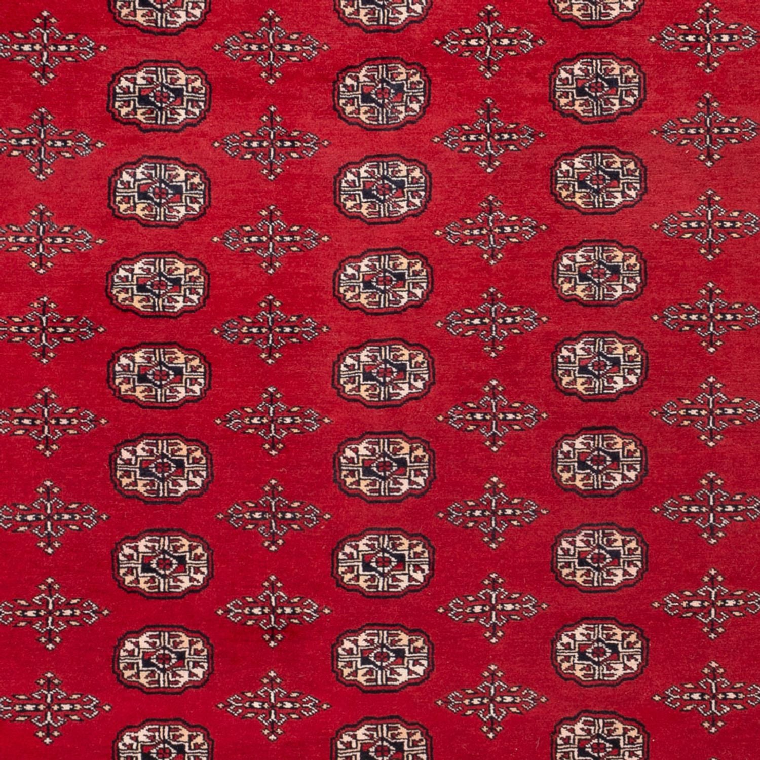 Afghansk tæppe - Bukhara - 319 x 250 cm - rød