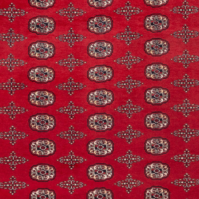 Afghansk tæppe - Bukhara - 319 x 250 cm - rød
