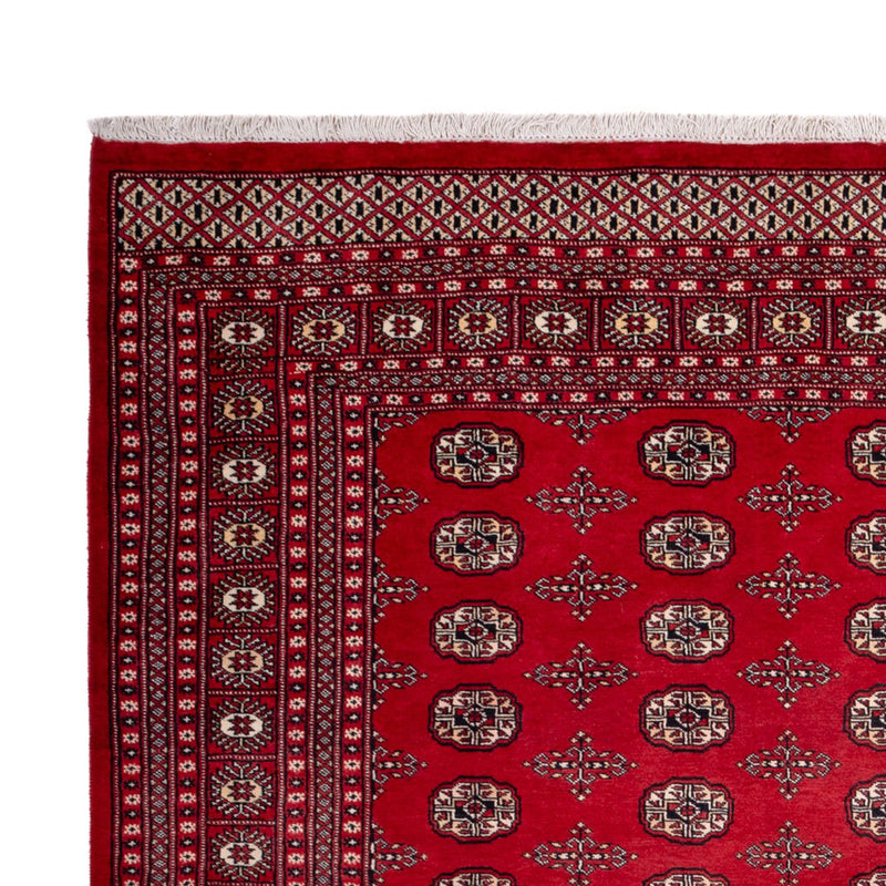 Afghansk tæppe - Bukhara - 319 x 250 cm - rød
