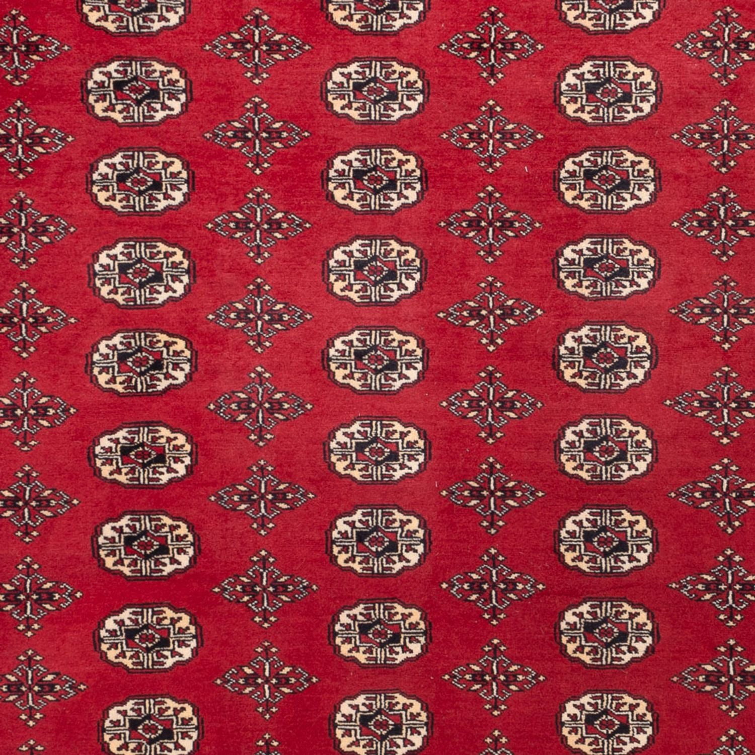 Afghansk tæppe - Bukhara - 309 x 248 cm - rød
