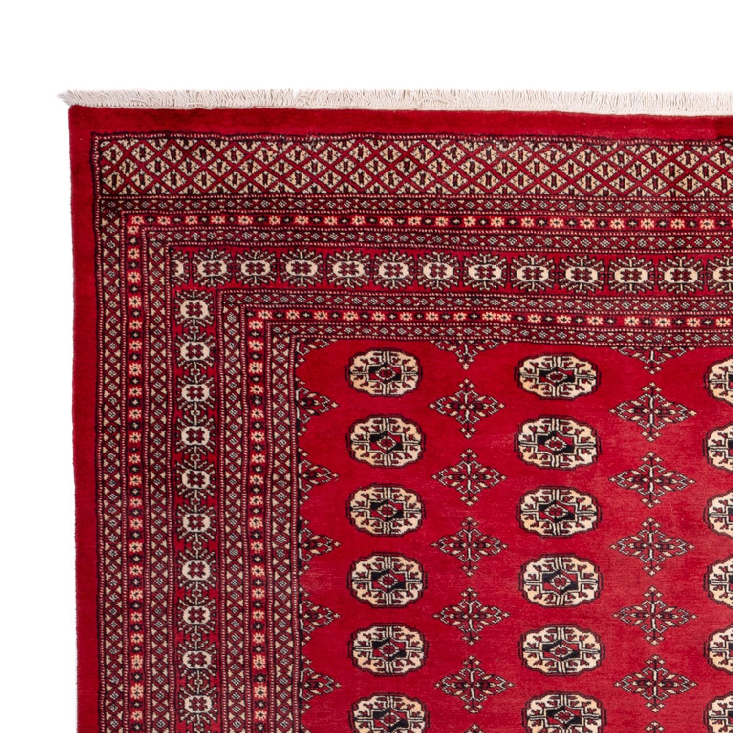 Afghansk tæppe - Bukhara - 309 x 248 cm - rød