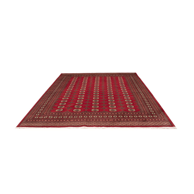 Afghansk tæppe - Bukhara - 309 x 248 cm - rød