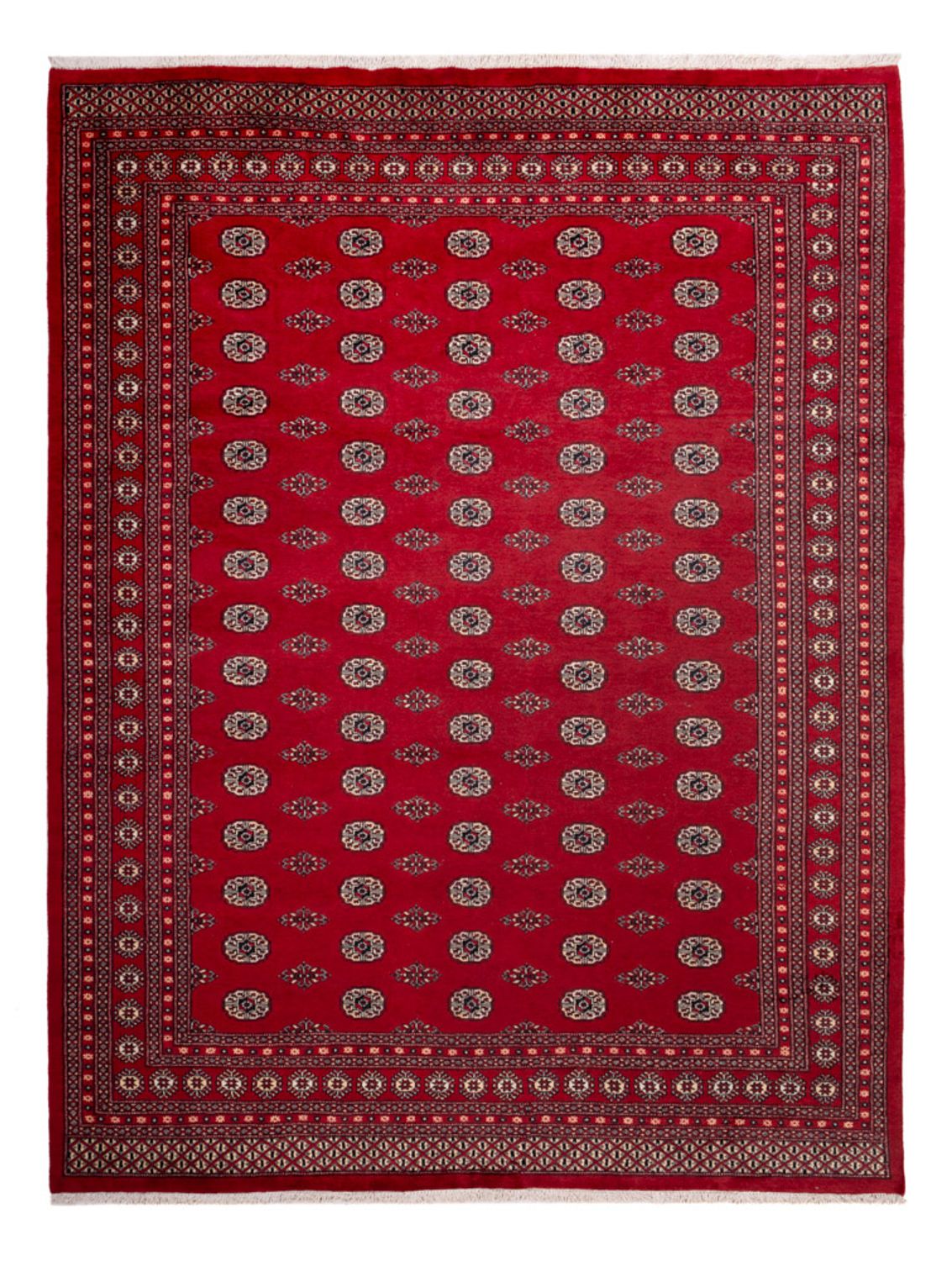 Afghansk tæppe - Bukhara - 323 x 248 cm - rød