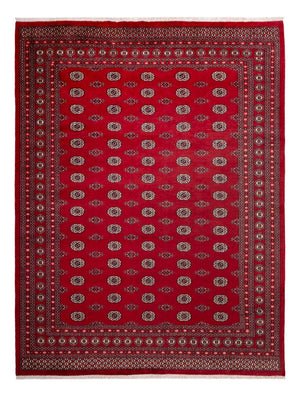 Afghansk tæppe - Bukhara - 323 x 248 cm - rød