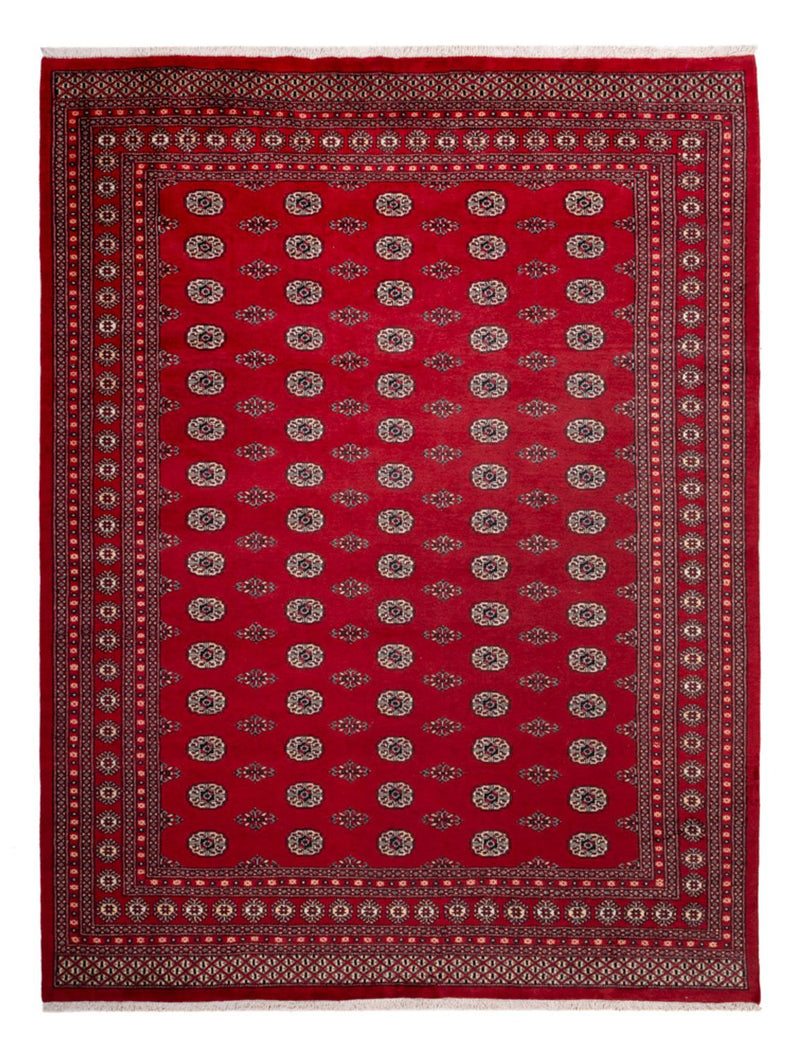 Afghansk tæppe - Bukhara - 323 x 248 cm - rød