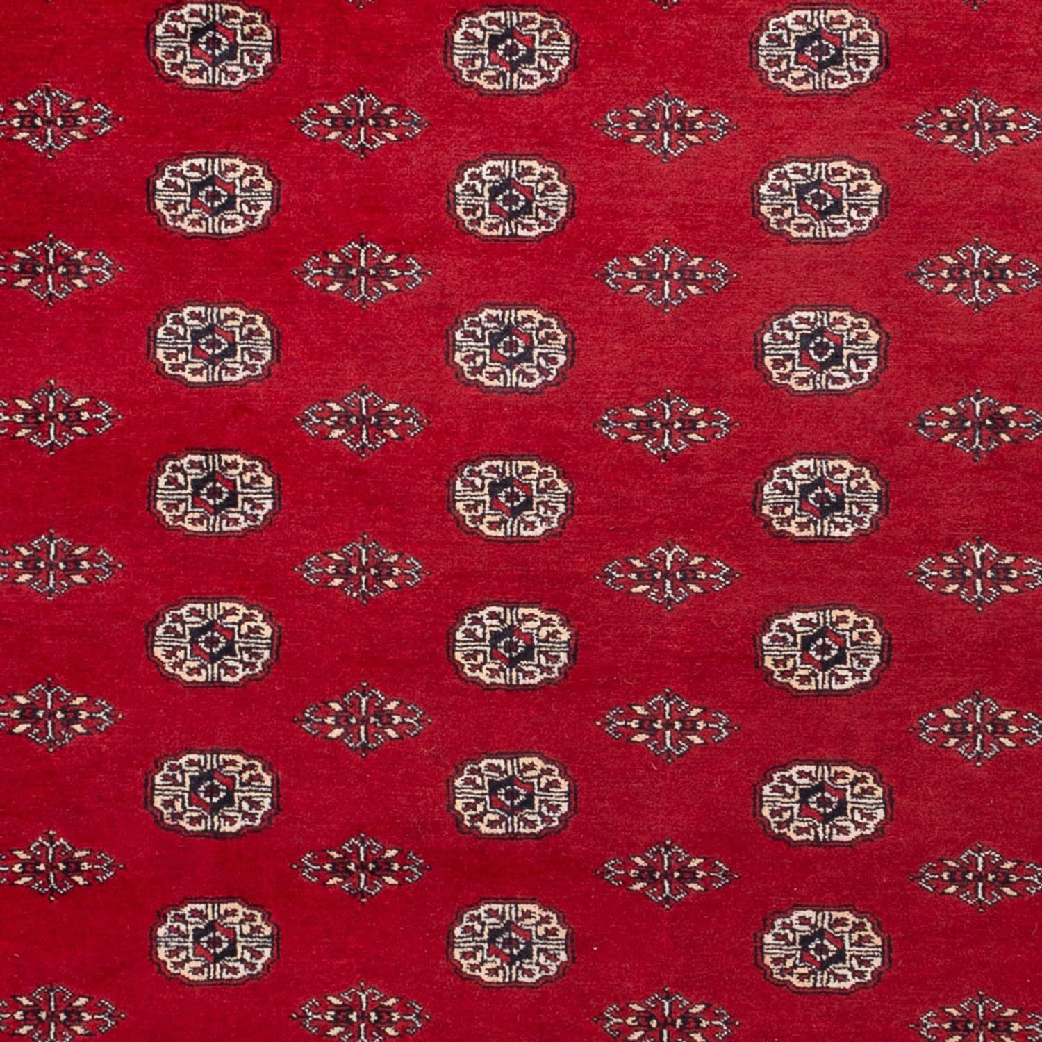 Afghansk tæppe - Bukhara - 323 x 248 cm - rød