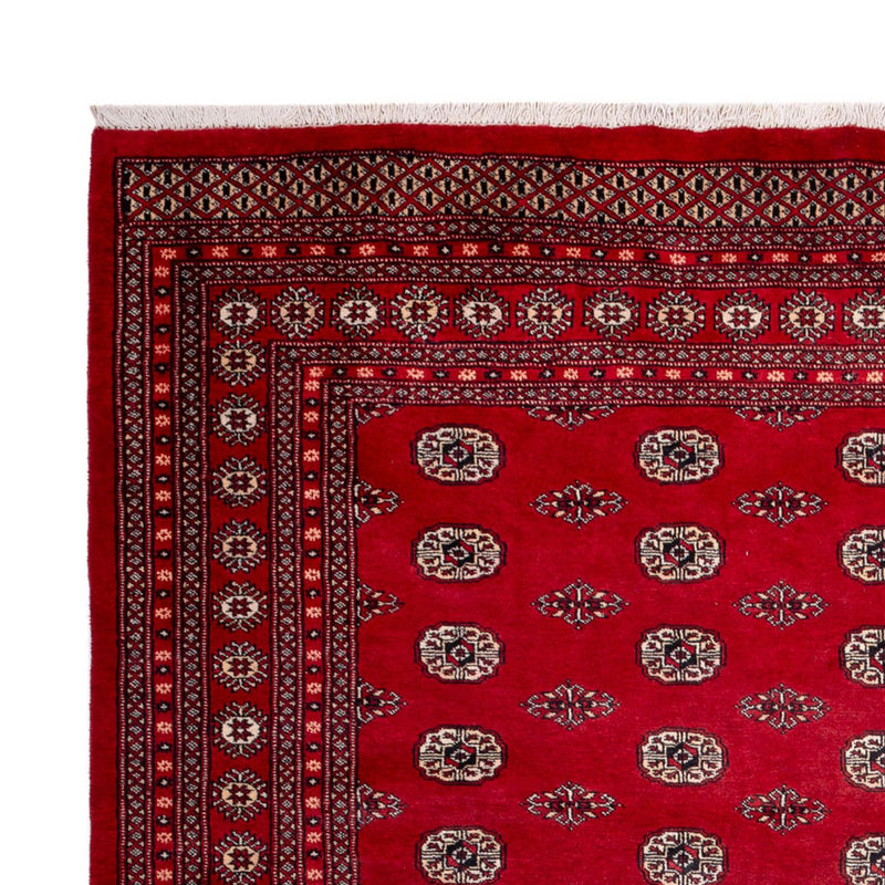 Afghansk tæppe - Bukhara - 323 x 248 cm - rød