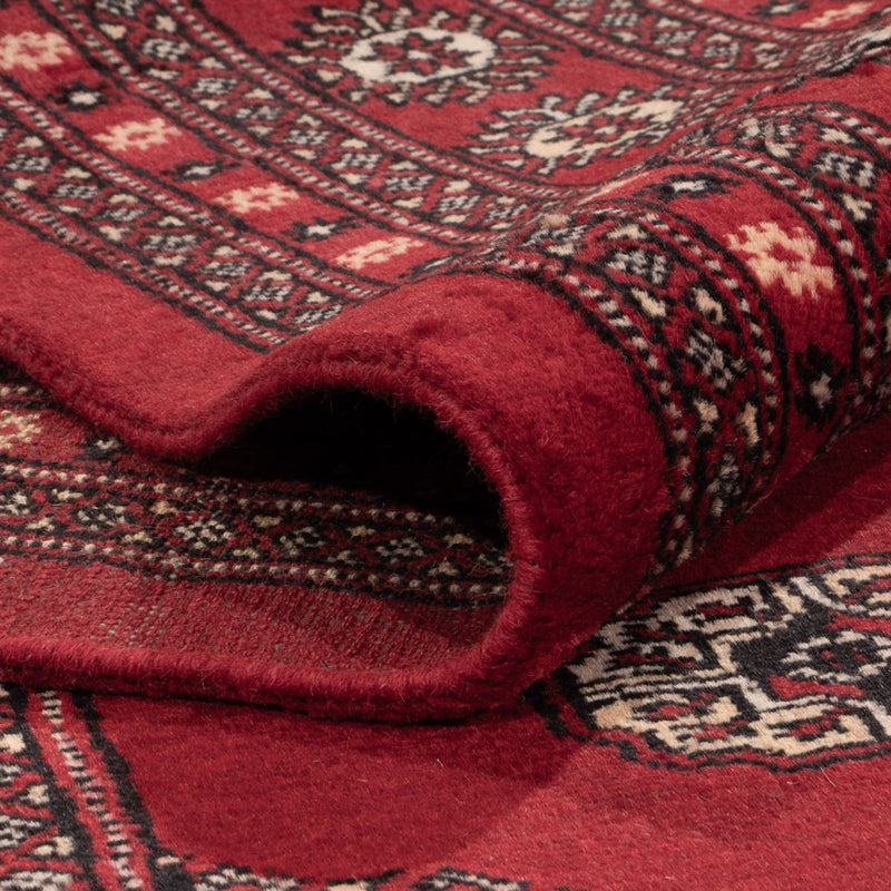 Afghansk tæppe - Bukhara - 323 x 248 cm - rød