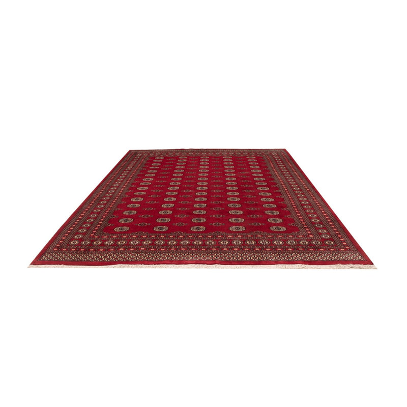Afghansk tæppe - Bukhara - 323 x 248 cm - rød
