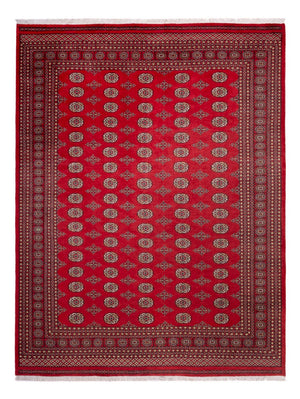 Afghansk tæppe - Bukhara - 321 x 247 cm - rød