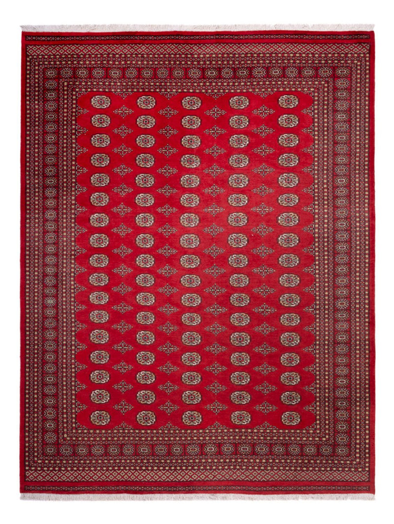 Afghansk tæppe - Bukhara - 321 x 247 cm - rød