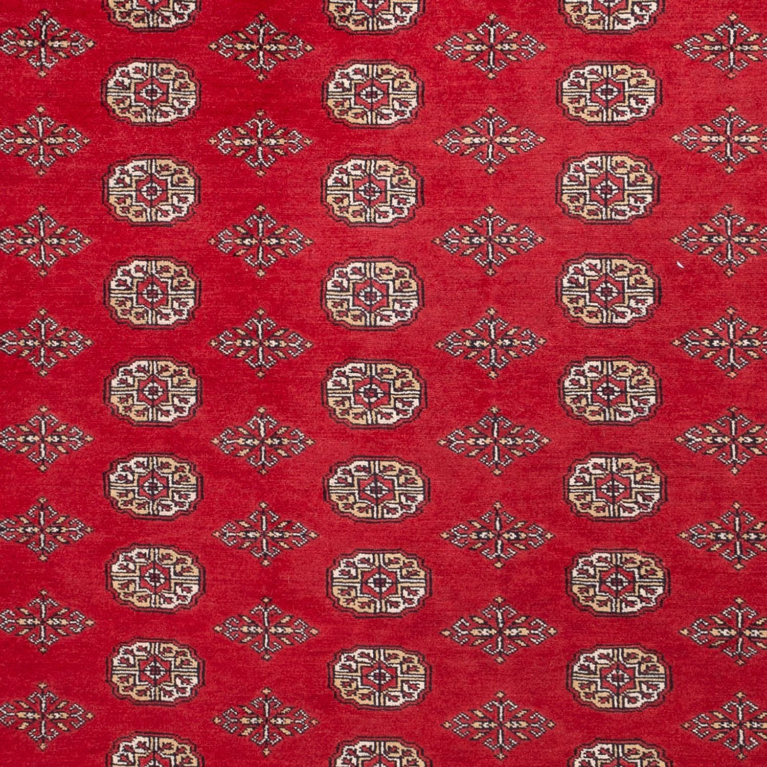 Afghansk tæppe - Bukhara - 321 x 247 cm - rød