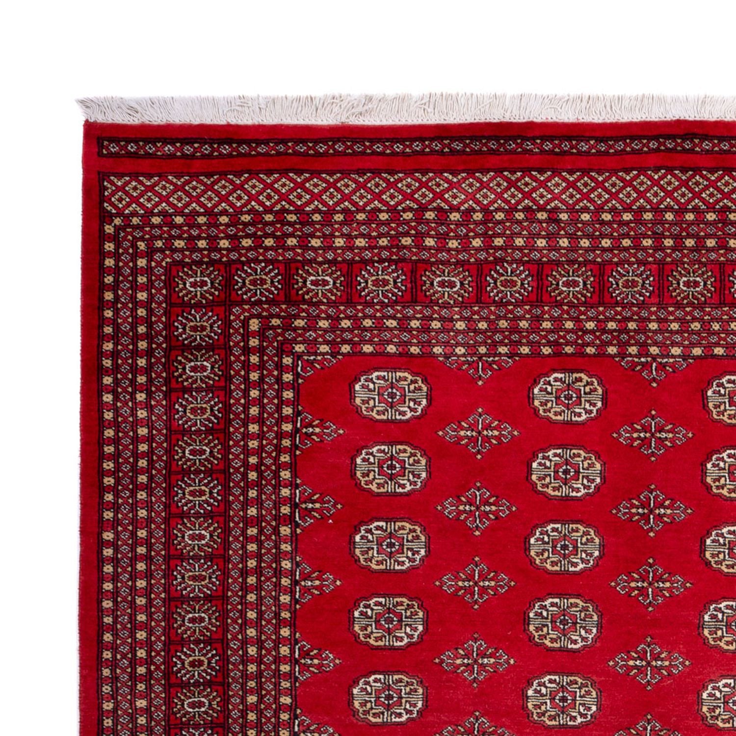 Afghansk tæppe - Bukhara - 321 x 247 cm - rød