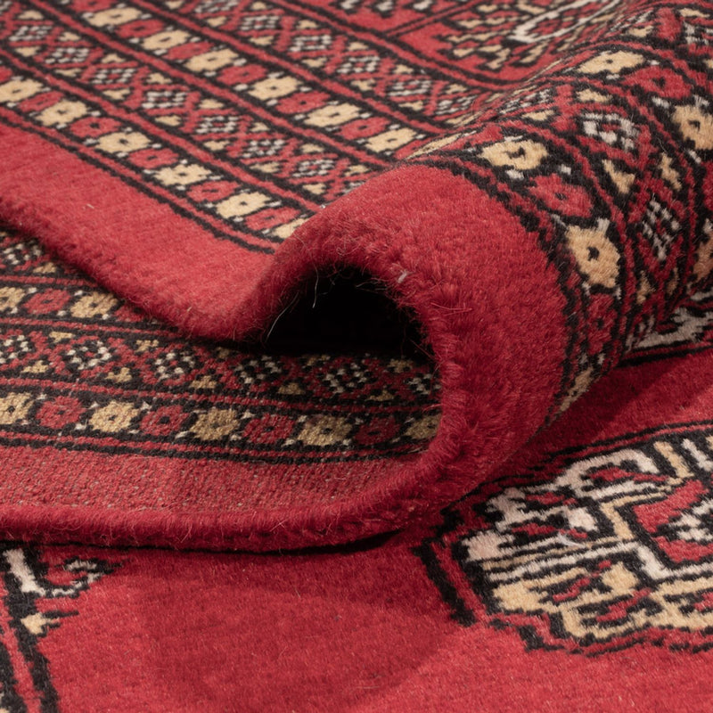 Afghansk tæppe - Bukhara - 321 x 247 cm - rød