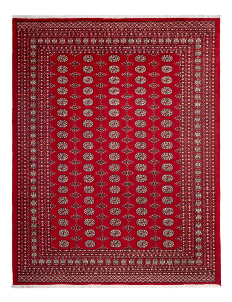 Afghansk tæppe - Bukhara - 318 x 247 cm - rød
