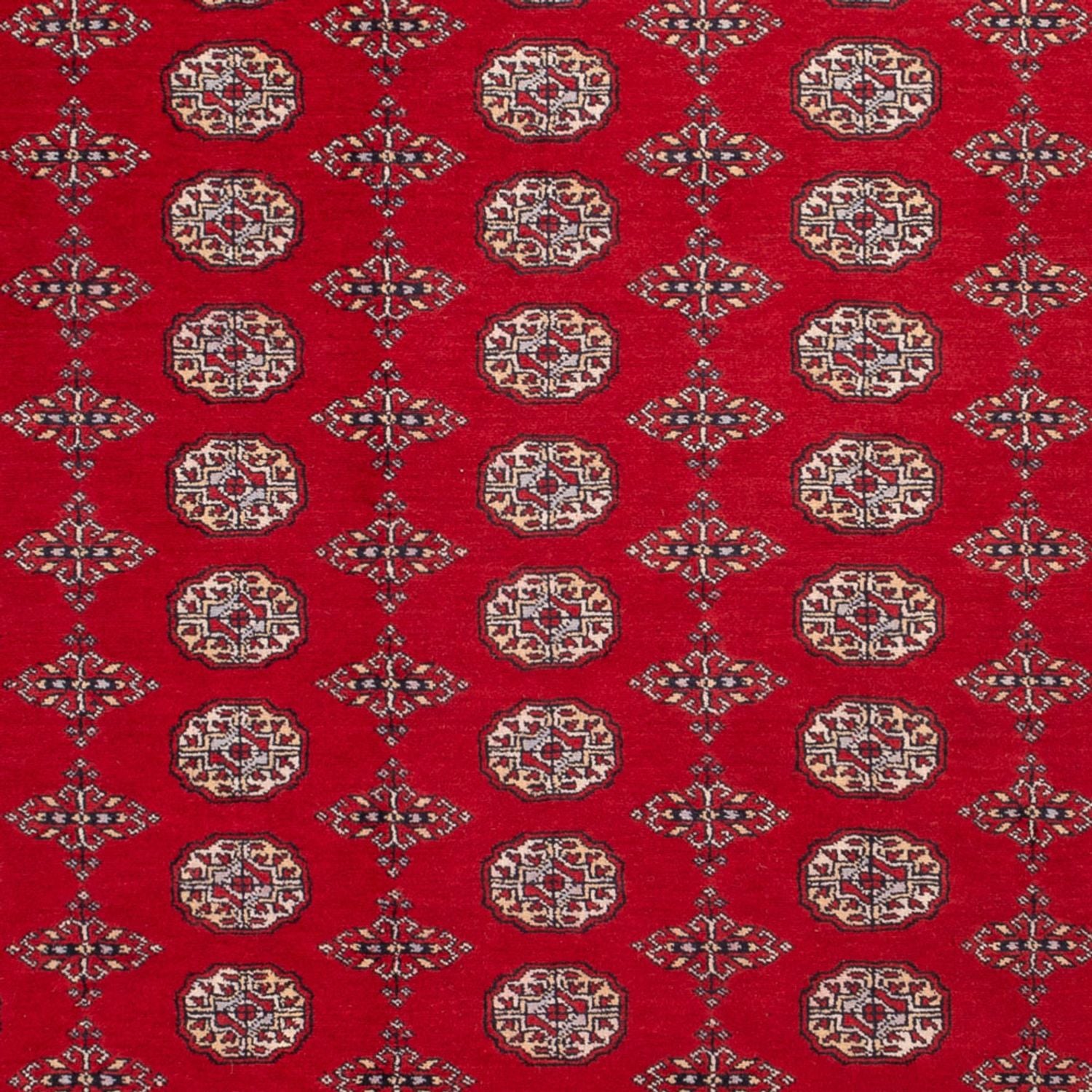 Afghansk tæppe - Bukhara - 318 x 247 cm - rød