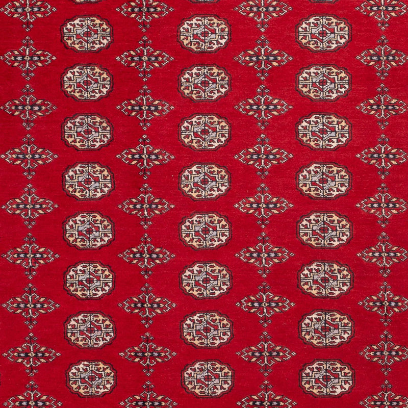 Afghansk tæppe - Bukhara - 318 x 247 cm - rød