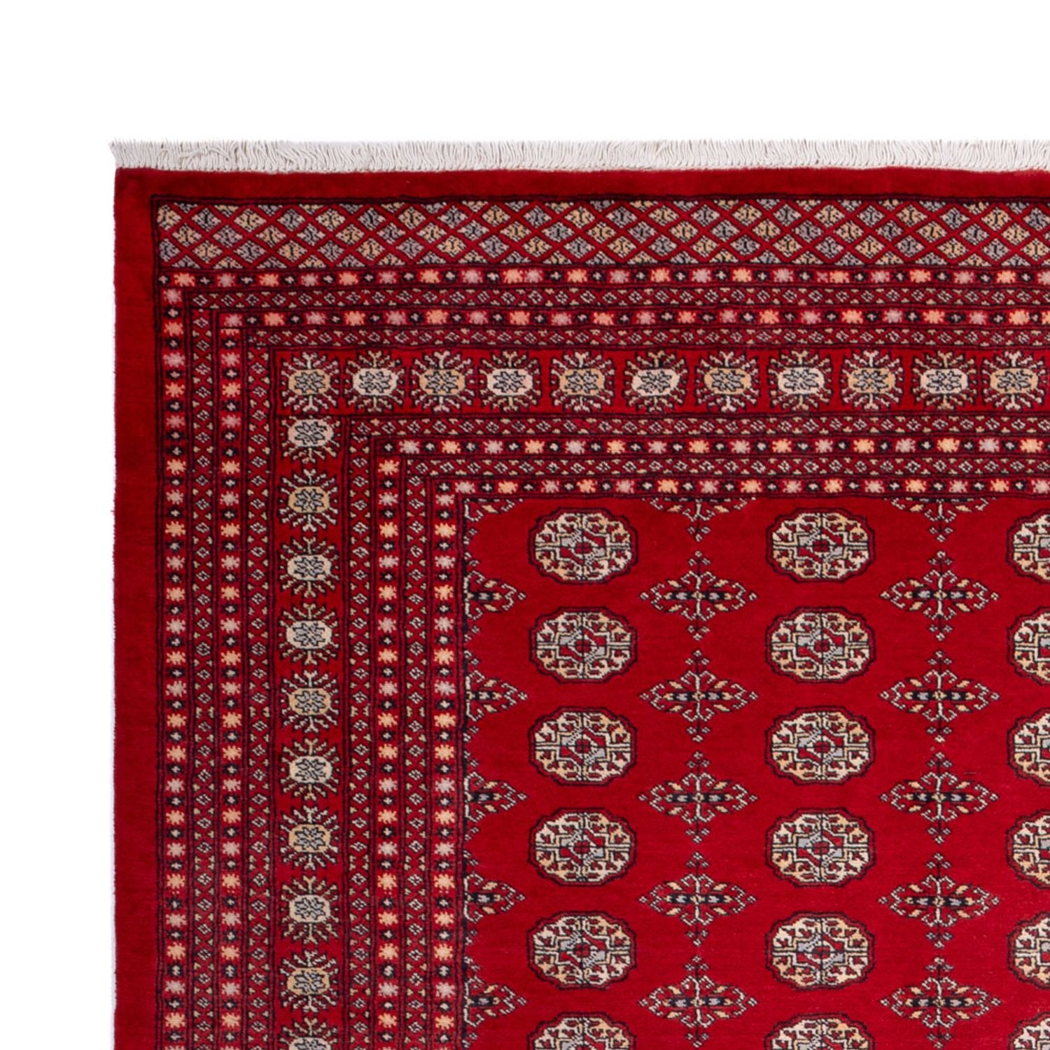 Afghansk tæppe - Bukhara - 318 x 247 cm - rød