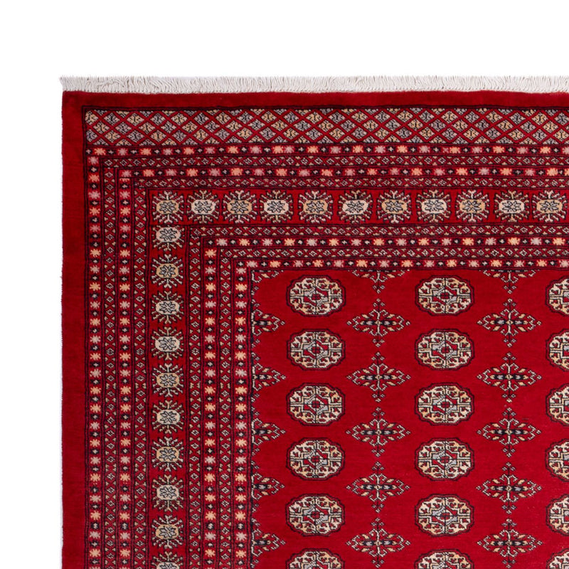 Afghansk tæppe - Bukhara - 318 x 247 cm - rød
