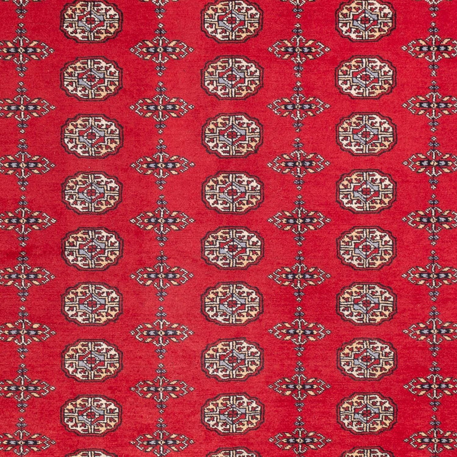 Afghansk tæppe - Bukhara - 310 x 250 cm - rød
