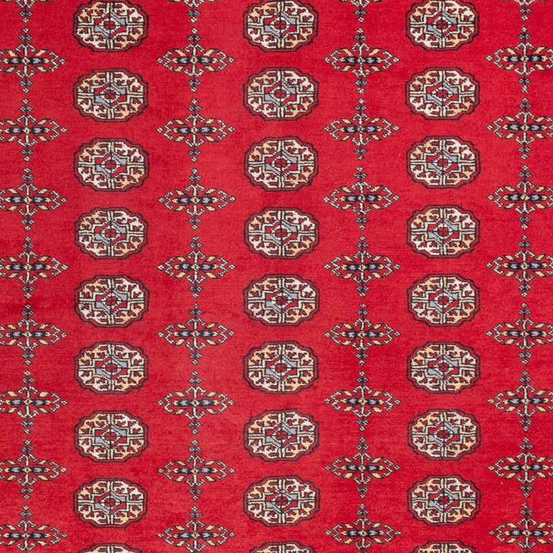 Afghansk tæppe - Bukhara - 310 x 250 cm - rød