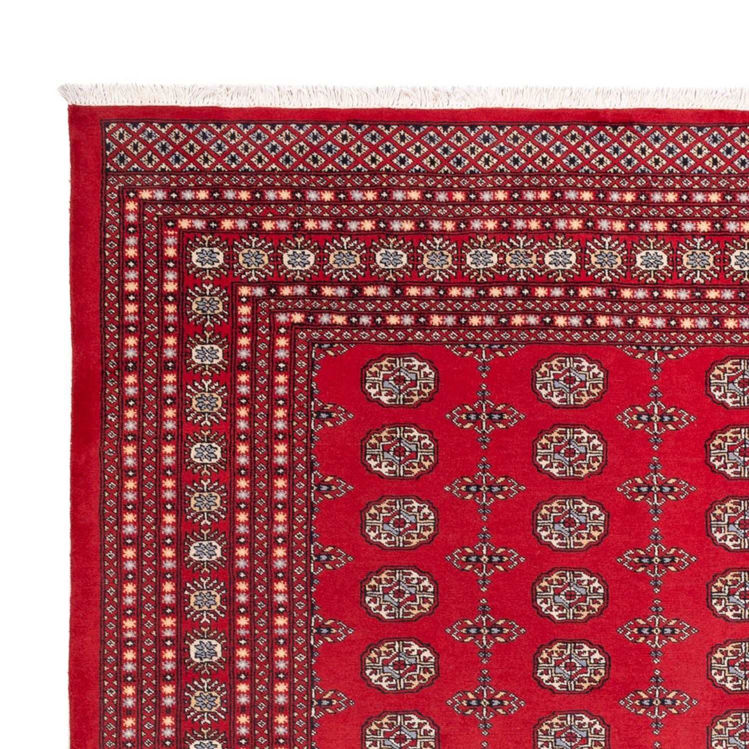 Afghansk tæppe - Bukhara - 310 x 250 cm - rød