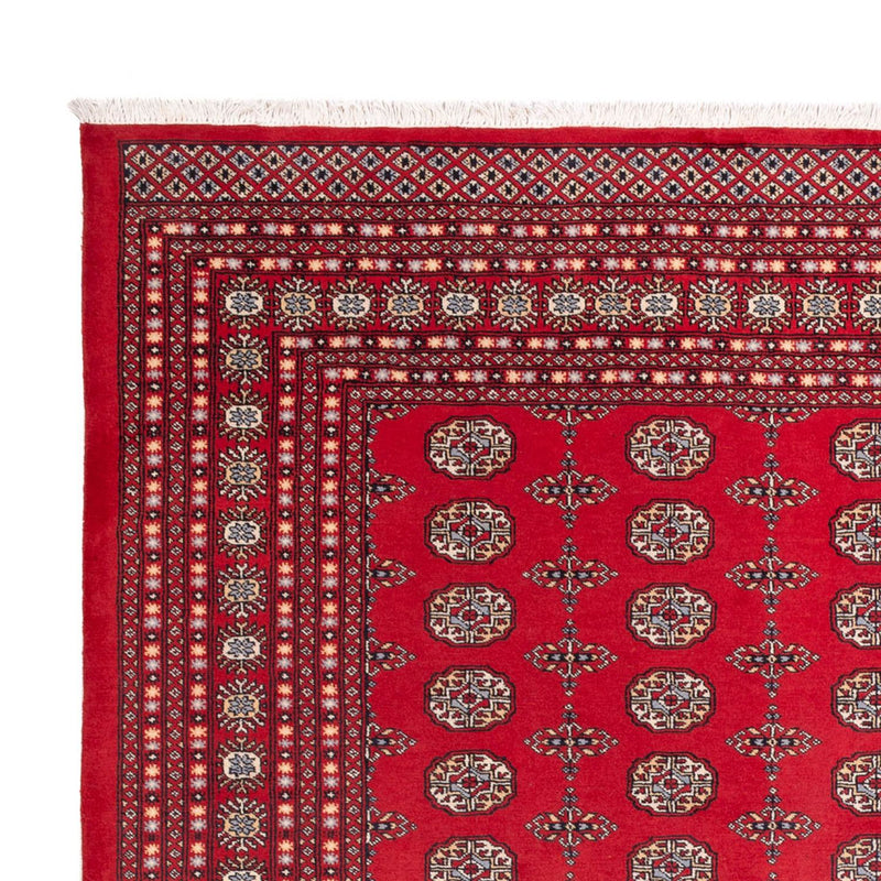 Afghansk tæppe - Bukhara - 310 x 250 cm - rød