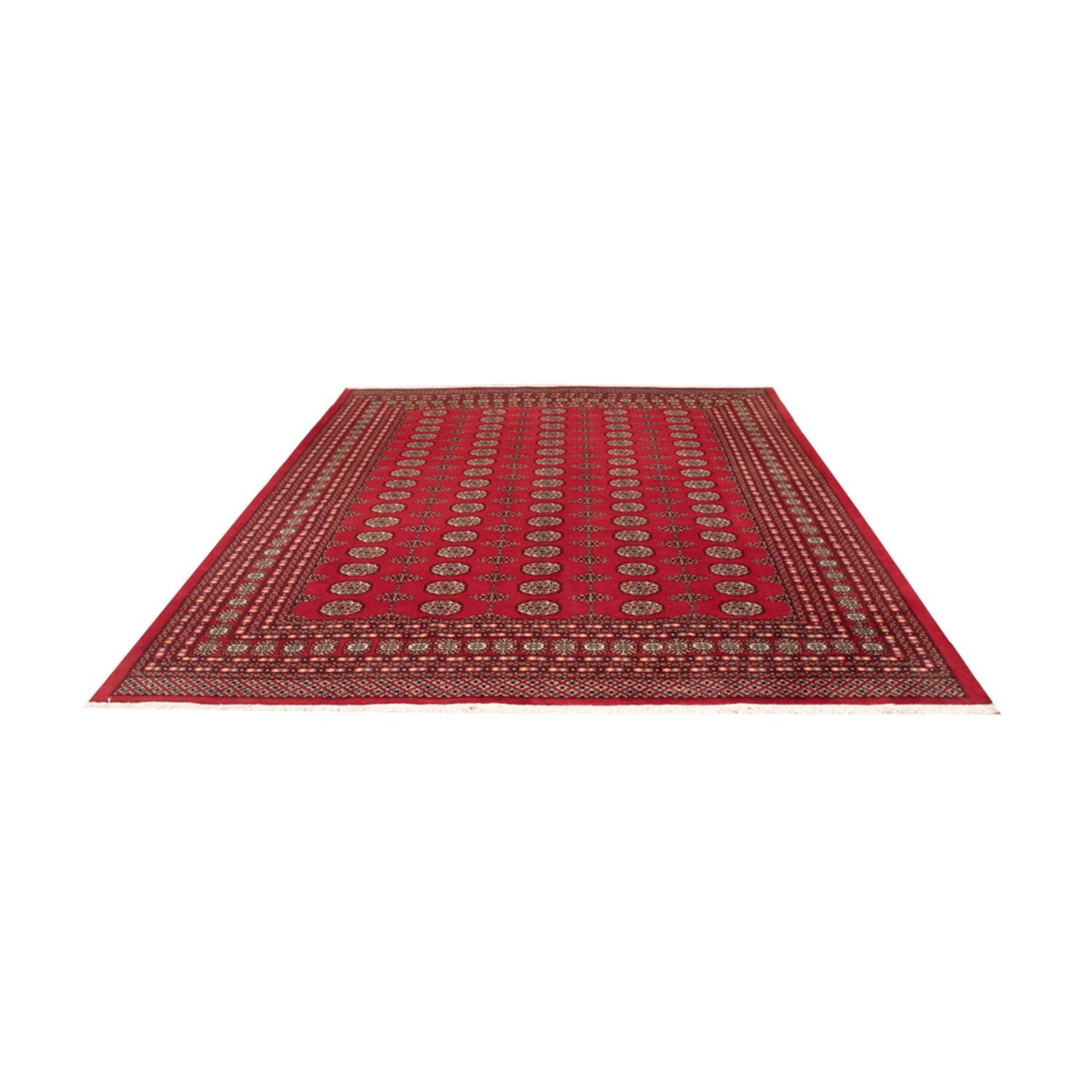 Afghansk tæppe - Bukhara - 310 x 250 cm - rød