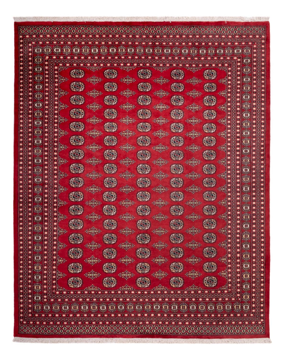 Afghansk tæppe - Bukhara - 315 x 248 cm - rød