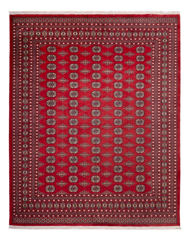 Afghansk tæppe - Bukhara - 315 x 248 cm - rød