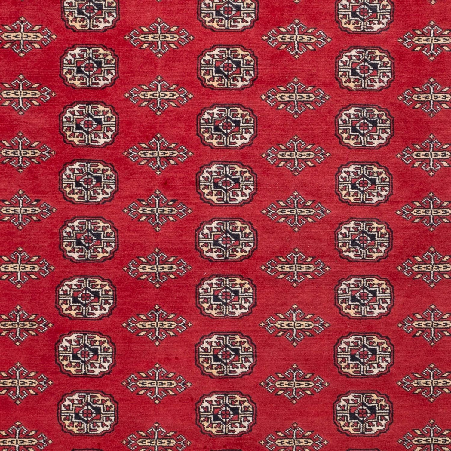 Afghansk tæppe - Bukhara - 315 x 248 cm - rød